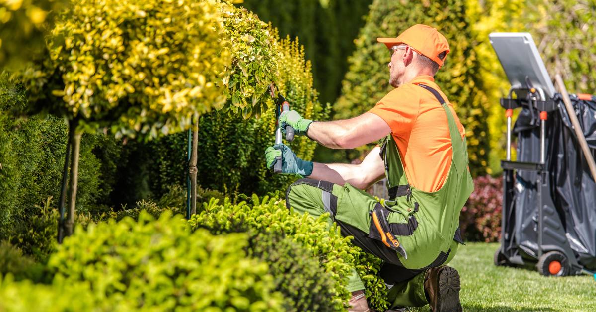 Green Thumb Experts: Unveiling the World of Landscaping and Groundskeeping Workers